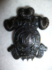 MM82 - 14th Princess of Wales Own Rifles Cap Badge